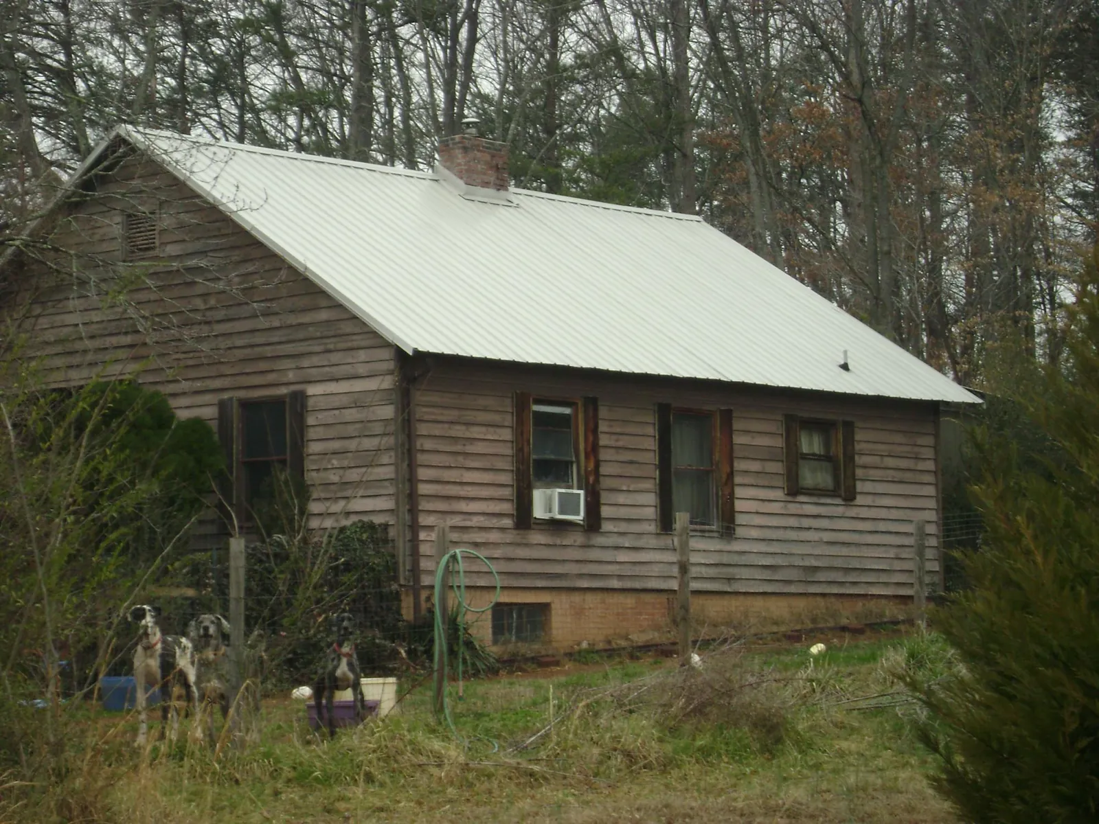 White metal roof on an old wood sided farmhouse, from a Asphalt Shingle Roof Repair job in Crabtree